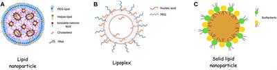 Lipid-based nanoparticles and RNA as innovative neuro-therapeutics